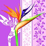 天堂鸟花