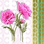 牡丹之花