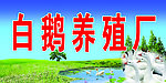 养殖