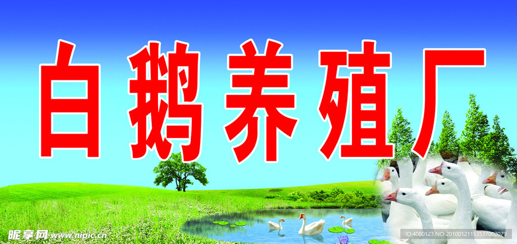 养殖