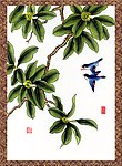 国画精品