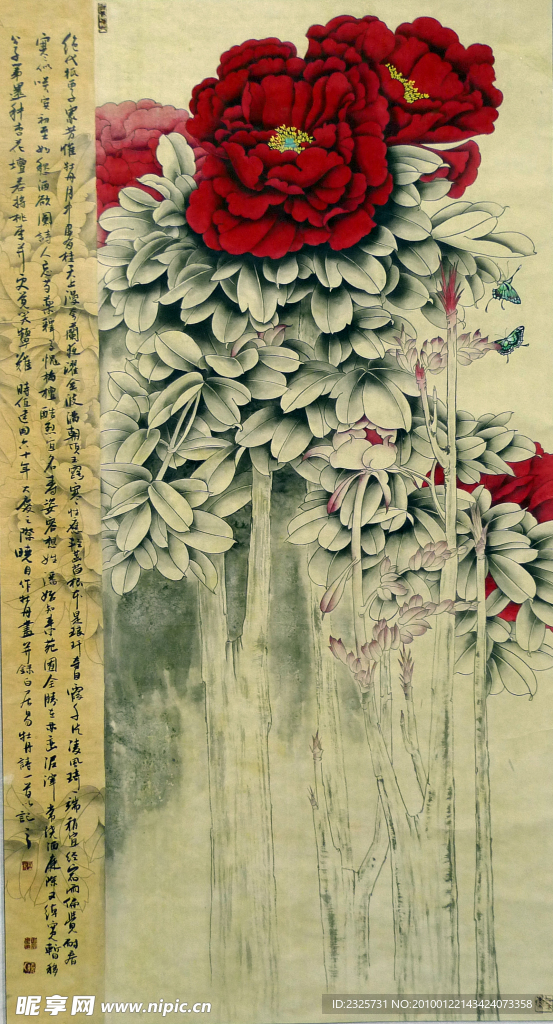 牡丹