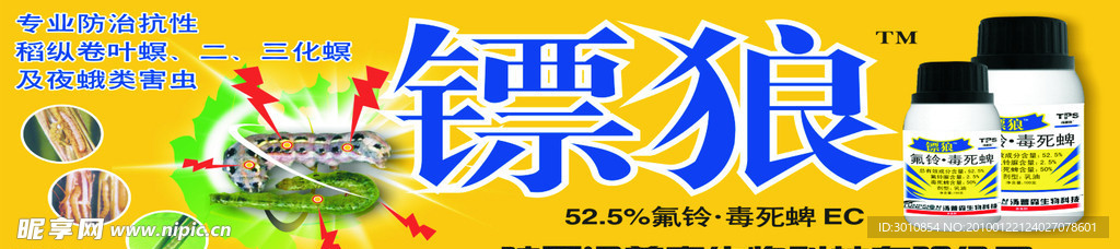 镖狼