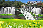 风景