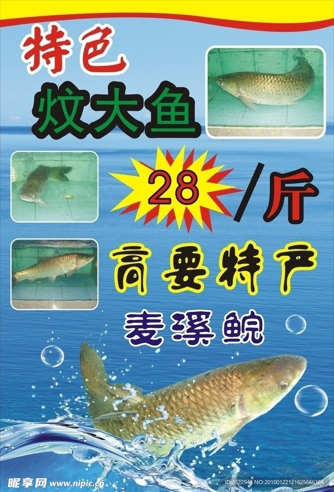 麦溪鲩