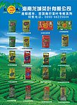 海南龙城茶叶