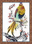 国画精品