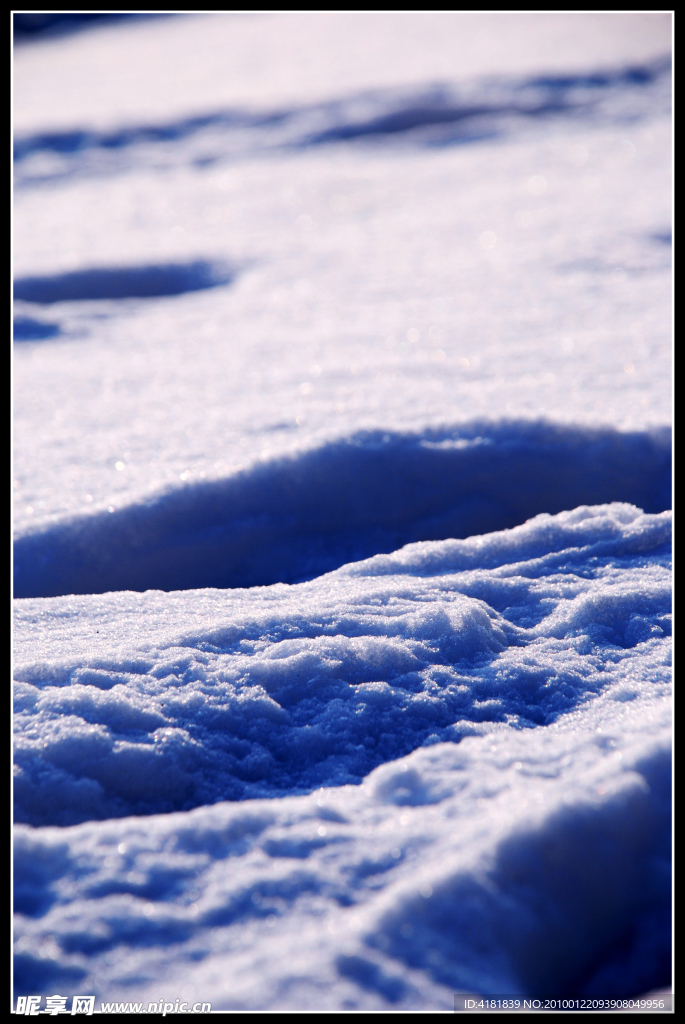 残雪