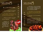 巧克力介绍