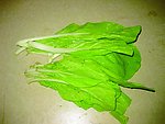 黄桑白