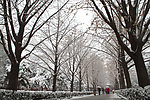 下雪