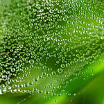 水珠