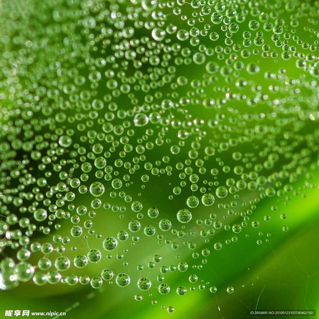水珠