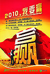 中国人寿虎年
