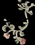 花纹