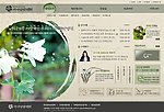 韩国精美网站模版10