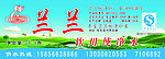 兰兰纯净水