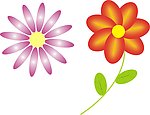 花儿