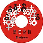 光盘样本