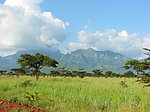 乌干达山Kadam