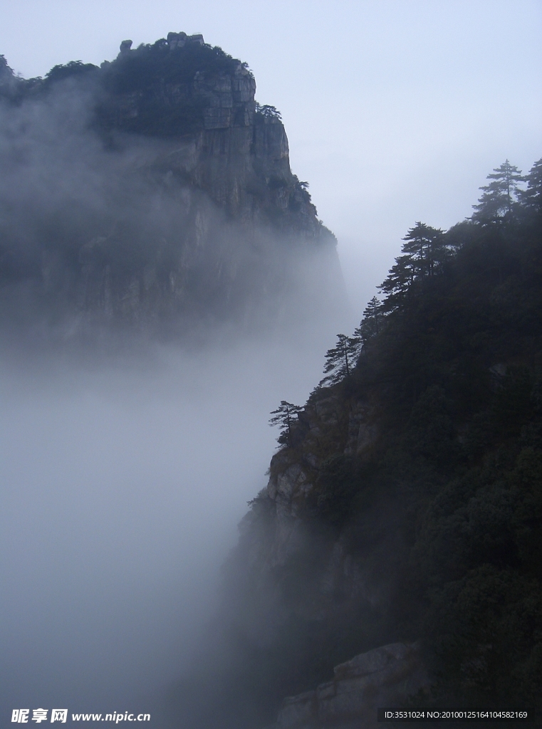 远山 松树 云雾缭绕