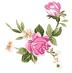 花纹