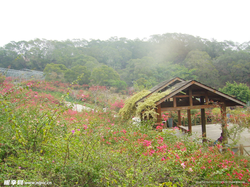 厦门东坪山公园