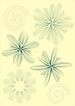 防伪纹