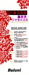 博洛尼节日