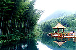 风景