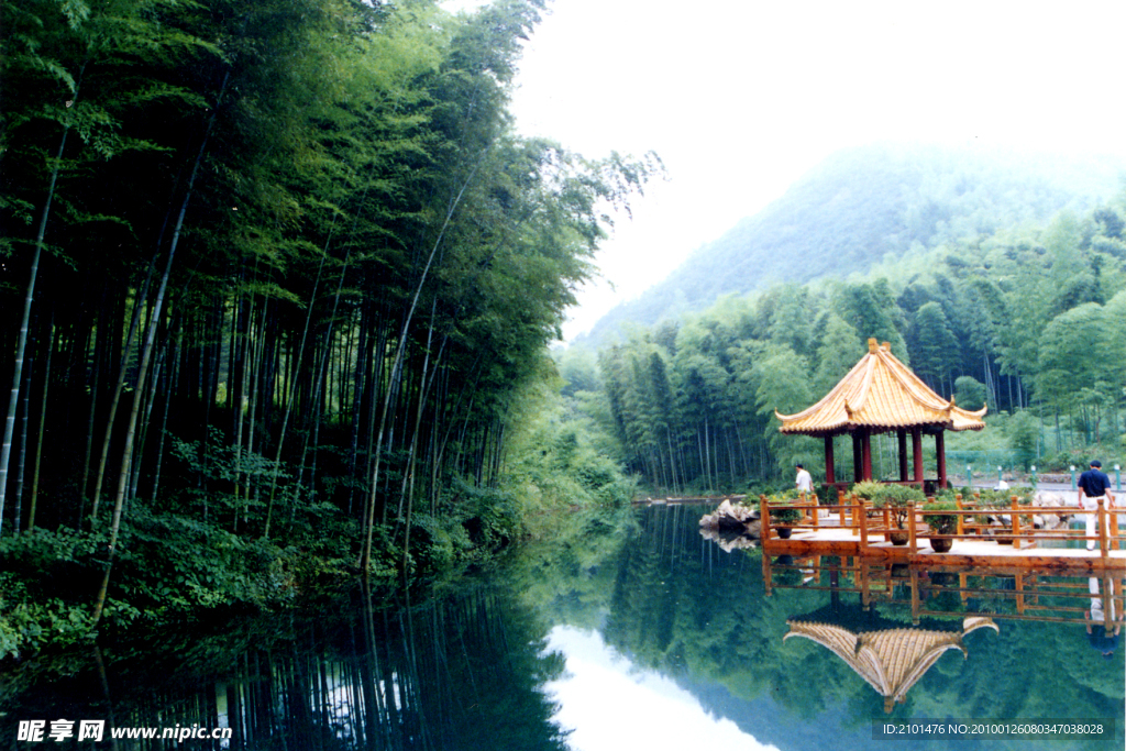 风景