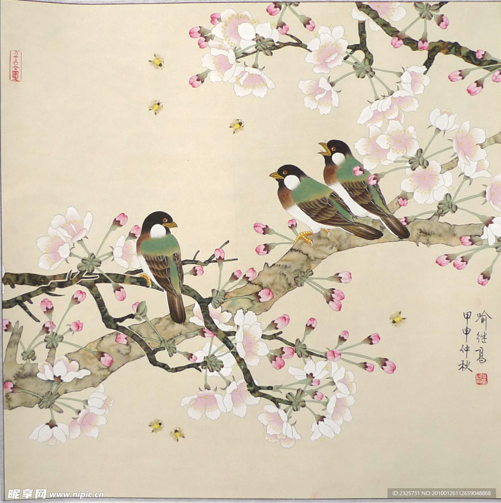 喻继高 鸟