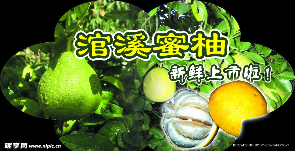 蜜柚