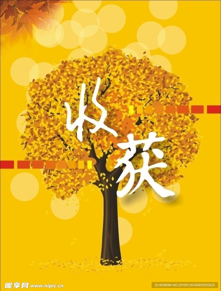 秋天的收获