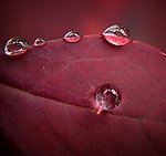 水珠