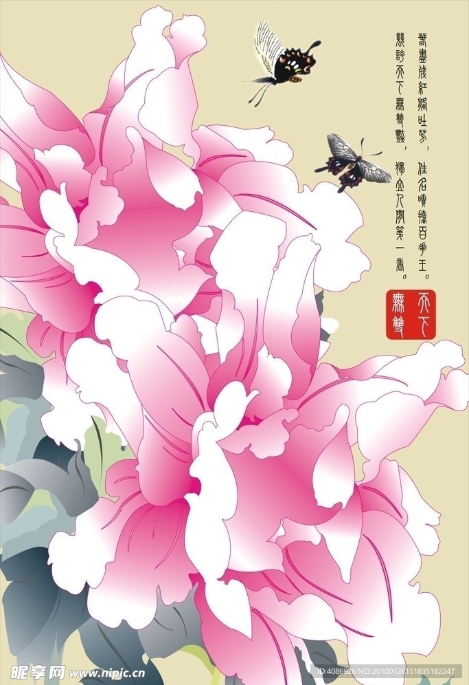 牡丹