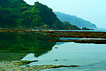 海岸美色