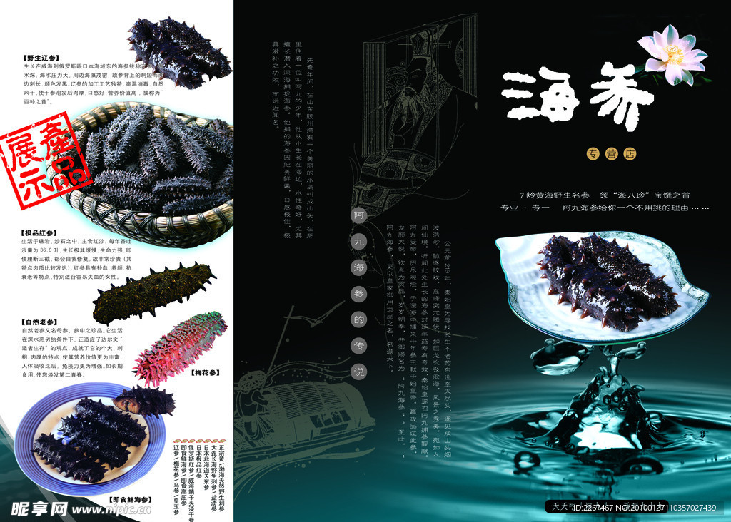海参
