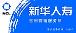 新华人寿保险