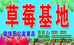 草莓