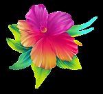 花纹
