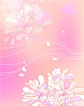 K 0051 花意飘