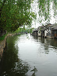 春风又绿江南岸