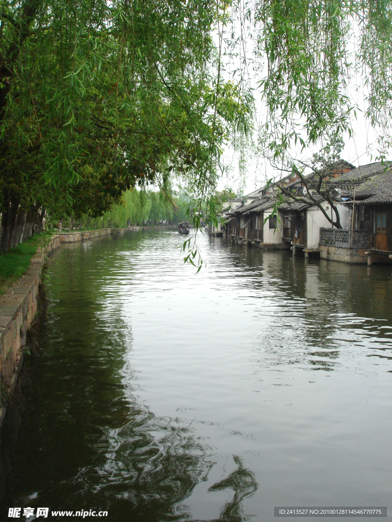 春风又绿江南岸