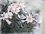 繁花锦绣