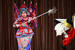 杨宗保 杨家将