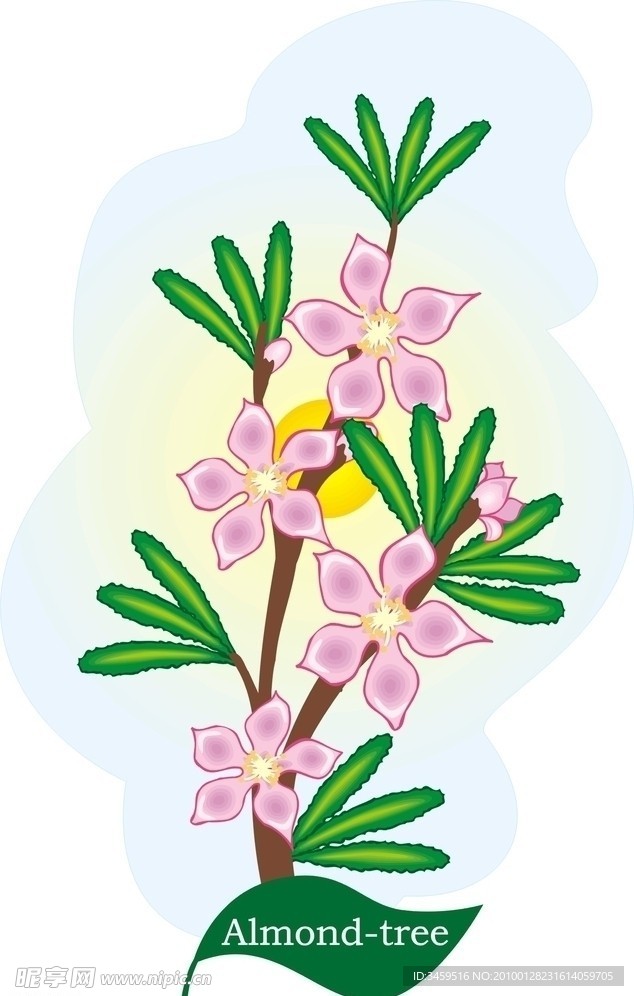 矢量植物 矢量花朵 山茶花