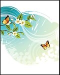 蝶与花