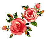 花纹