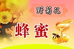 野菊花蜂蜜